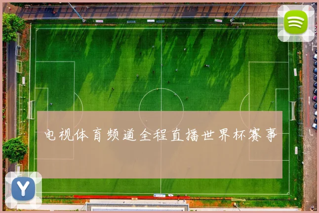 电视体育频道全程直播世界杯赛事