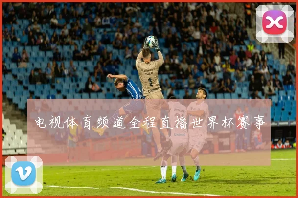 电视体育频道全程直播世界杯赛事