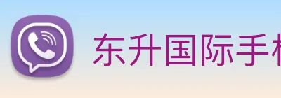 东升国际手机版下载 logo